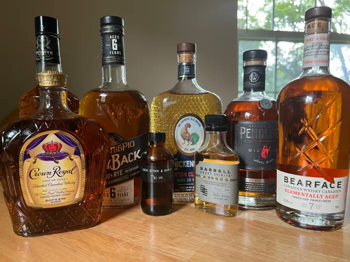 DW - Alive Suddenly banner