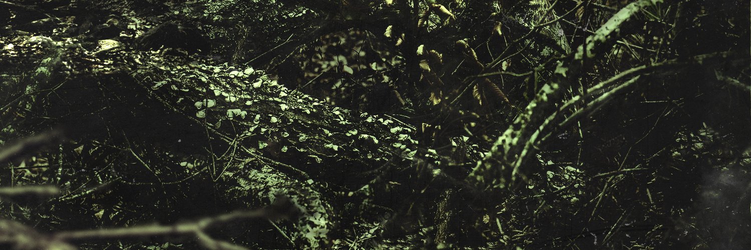 h a l p e banner