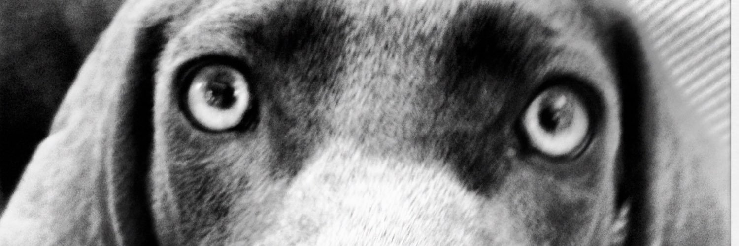 alwaysfreshstef's profile banner image