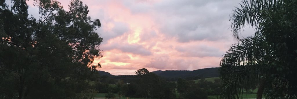 tieganmaree_'s profile banner image