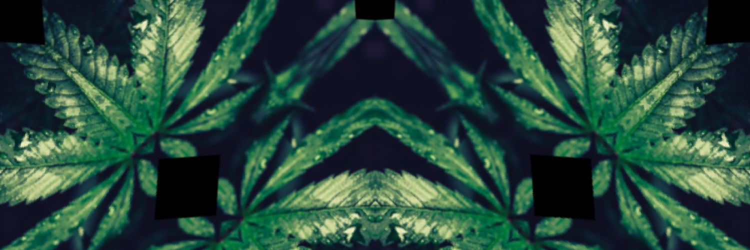 BlowinMaddTrees's profile banner image