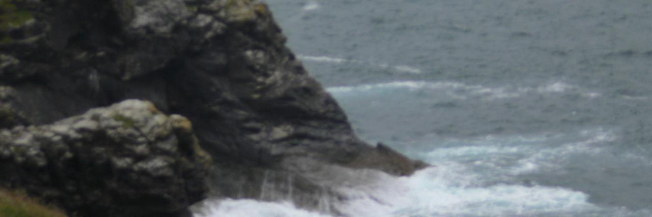 Suecatbo's profile banner image