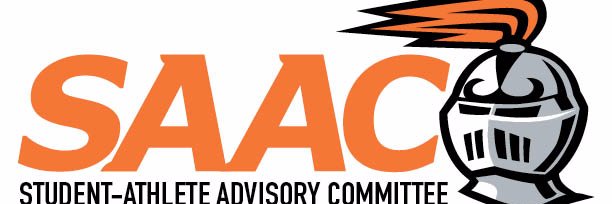 Heidelberg SAAC banner