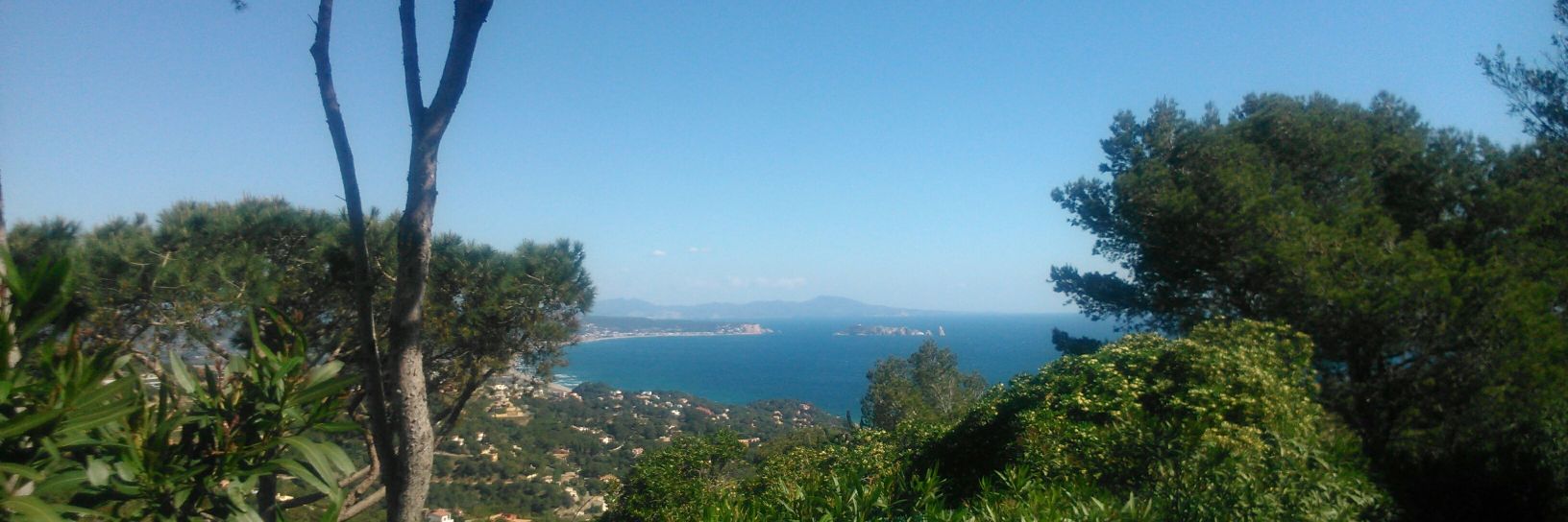 Pasencio01's profile banner image