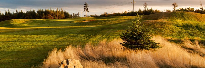 wincecollins's profile banner image