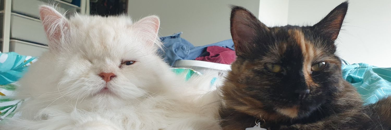 kayleighb86's profile banner image