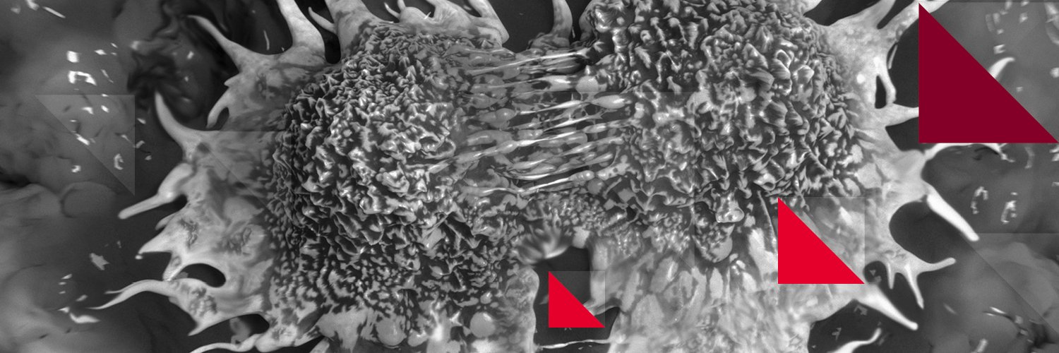 IAC_journal's profile banner image