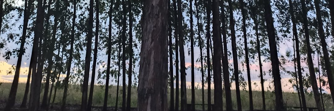bxcker__'s profile banner image