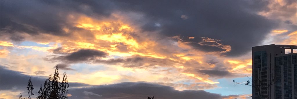 Amanda_Qd's profile banner image
