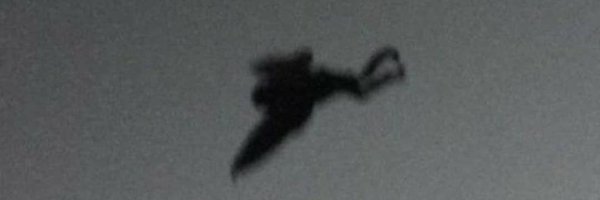 steev____ Profile Banner