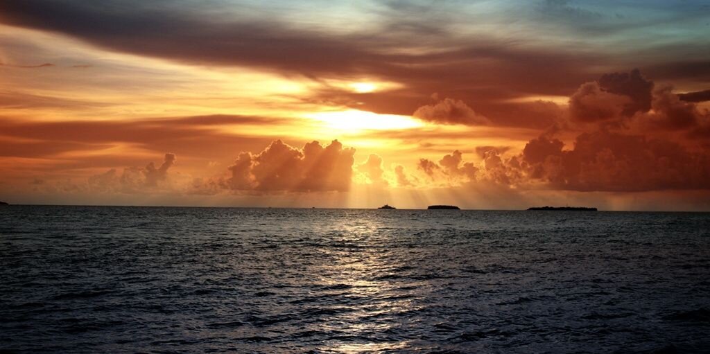 penangi's profile banner image