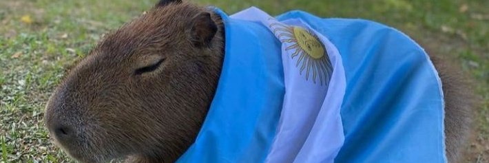 FedeZDR's profile banner image