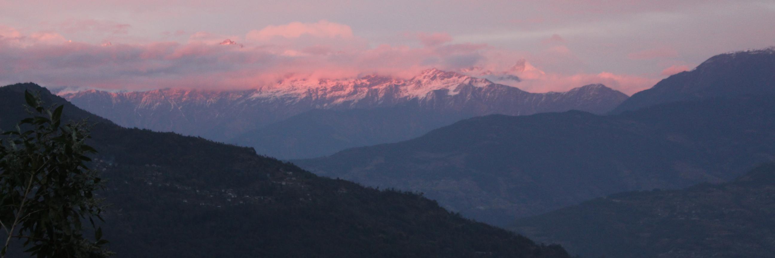 Sara Shneiderman banner