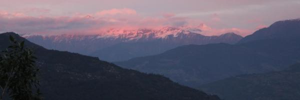 sshneiderman Profile Banner