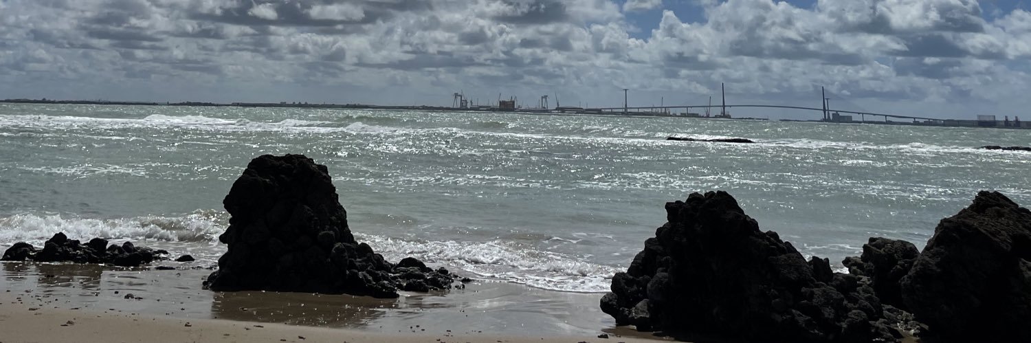 Raquelobregon's profile banner image