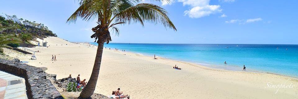 S. Hernando🇮🇨 banner