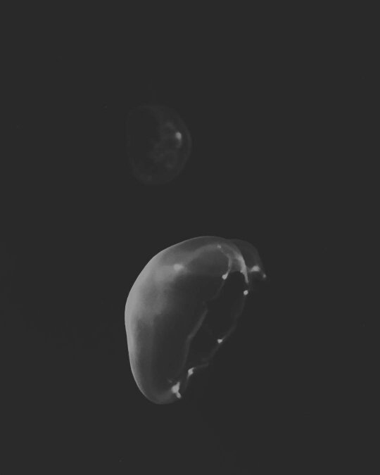 teodosy87's profile banner image