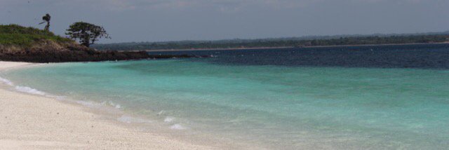 Gisela Preciado banner