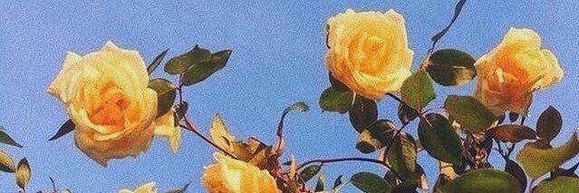 MissEleni__'s profile banner image