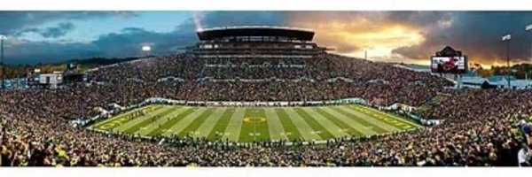 Coach_York Profile Banner