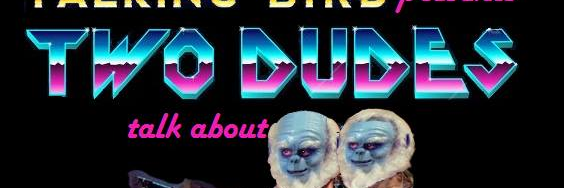 talkingbirdcast's profile banner image