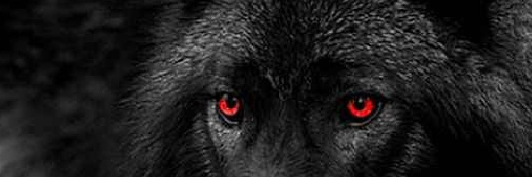 DariusTon's profile banner image