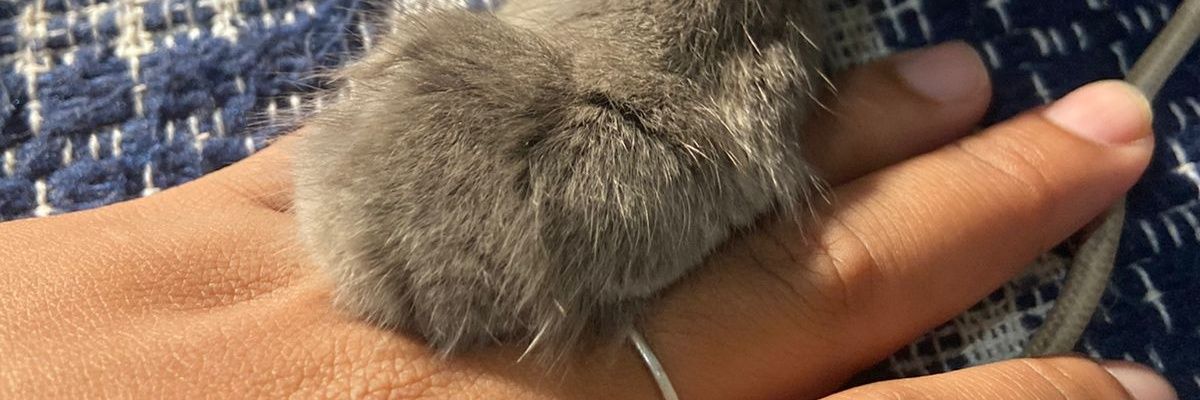 _Girllllllll's profile banner image