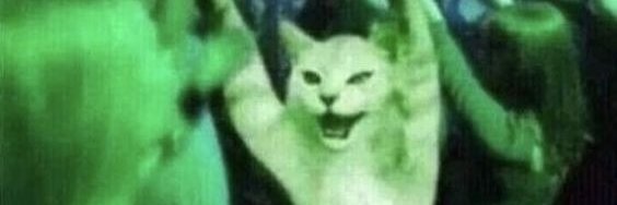 notNotch39's profile banner image