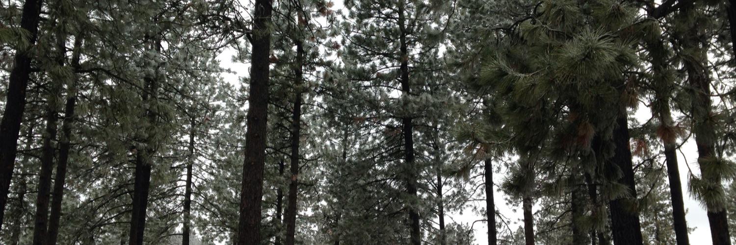 SpokaneFit's profile banner image