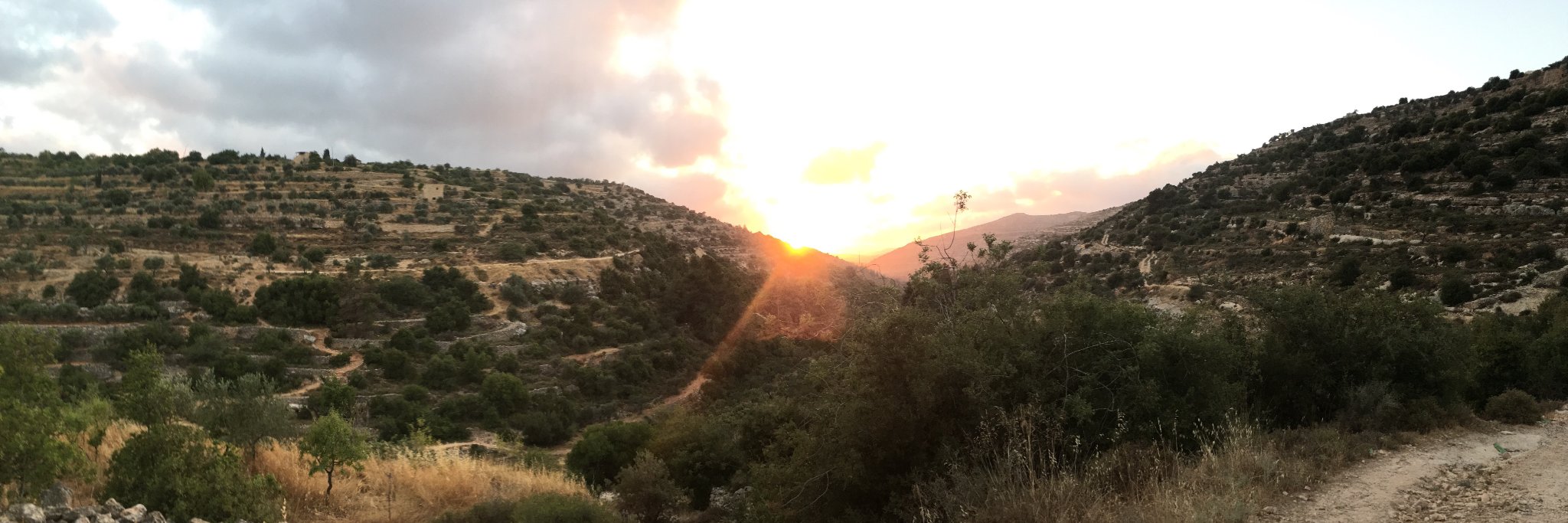 meganiorio's profile banner image
