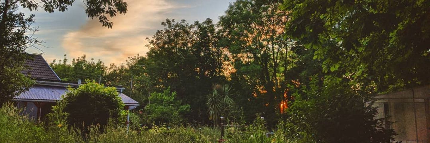 CarolineSPhoto's profile banner image