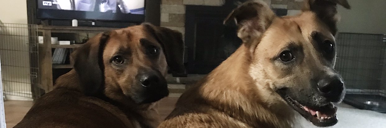 gabbrapp's profile banner image