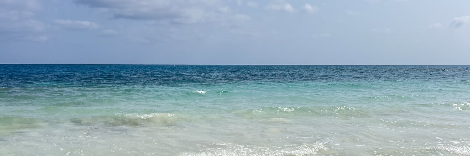 valesanchezram's profile banner image