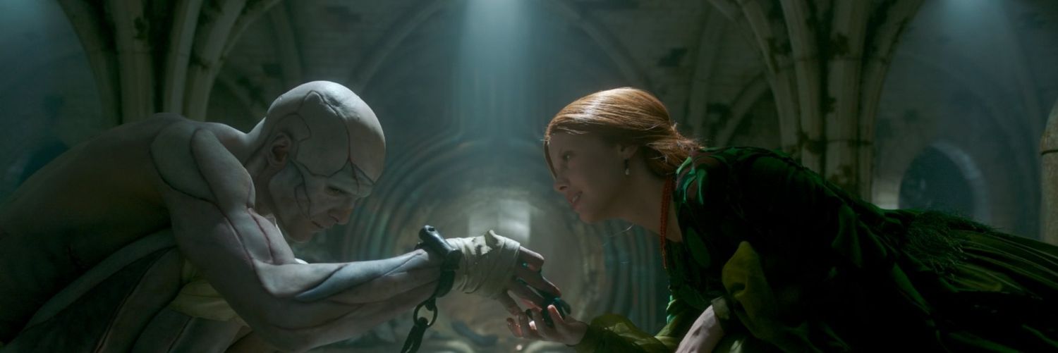 Olga Mataix🍁🍁🦋🪲🦋🍁🍁📚📽🎼🎬💫 banner