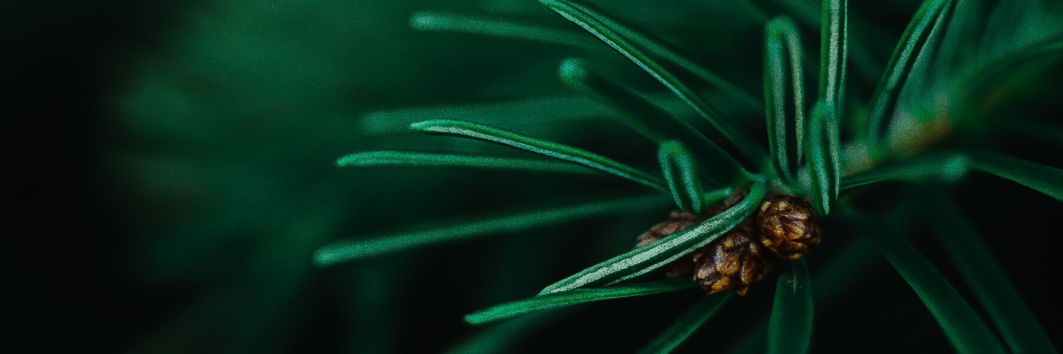 barbararfowler's profile banner image