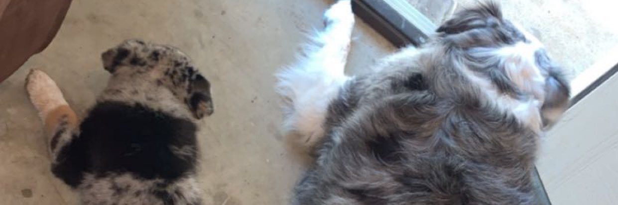tawnylanee's profile banner image