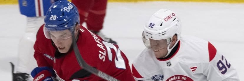 Slavo Dzuričko 🏒🇸🇰 banner