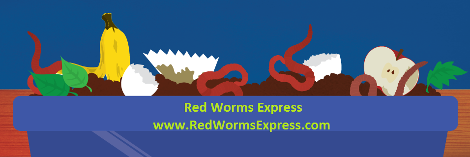 Red Worms Express (@redwormsexpress) / Posts / X