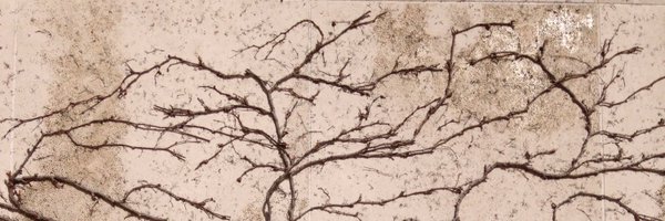 bohyunkim Profile Banner