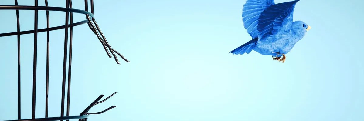 ➡️ xeanms@bsky.social ➕ xeanms@mastodon.social banner