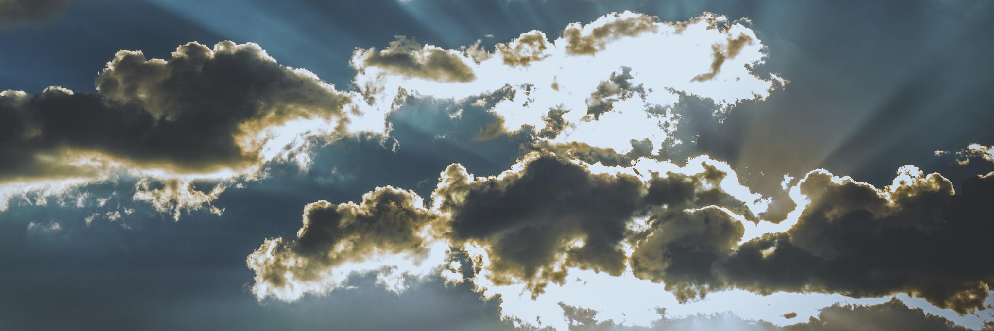 savvy6d's profile banner image