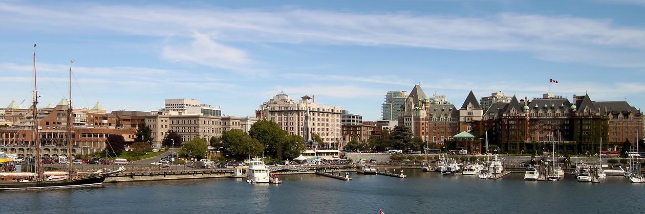 Kindnessyyj's profile banner image