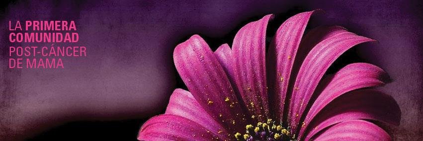 Mujeres_Live's profile banner image