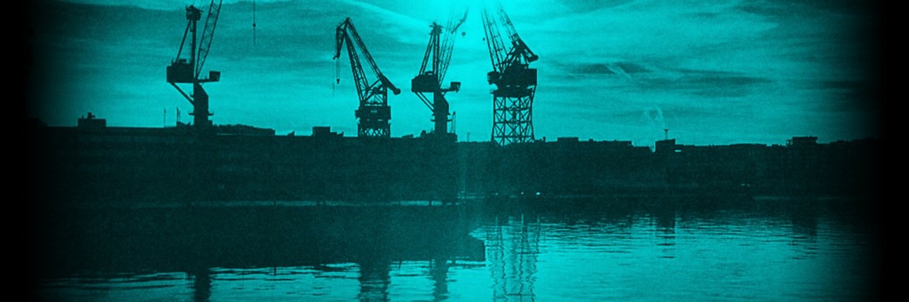RobustNorth's profile banner image