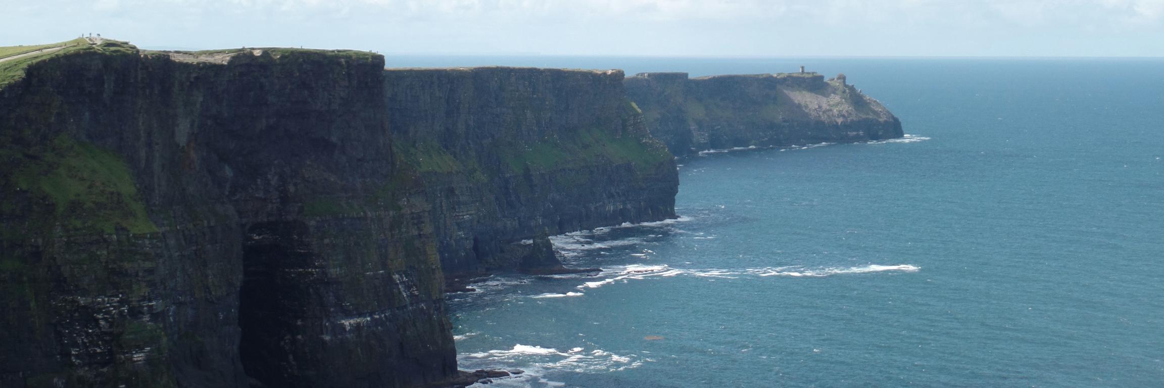 Notorious Wojo banner