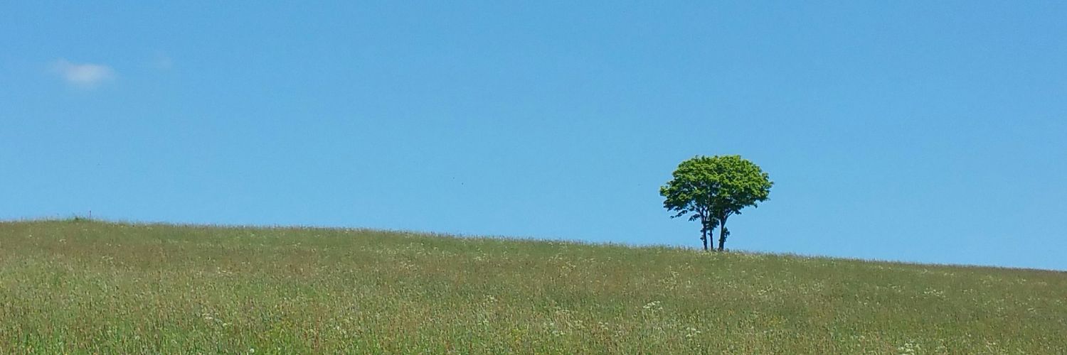 M_Gellner's profile banner image