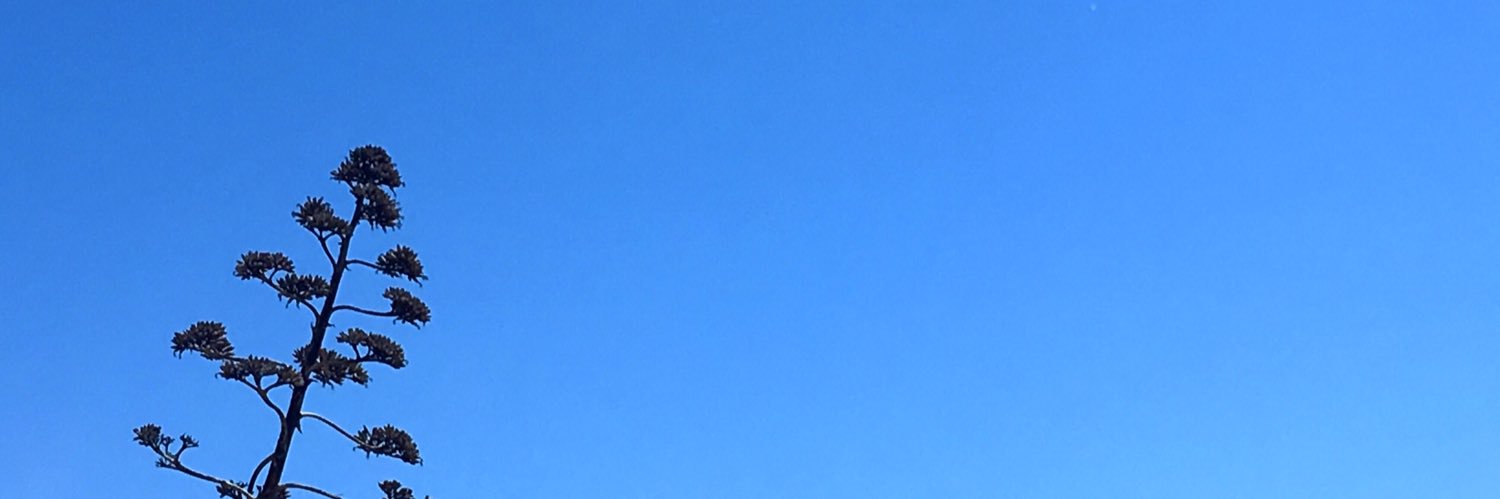 BecaLois's profile banner image