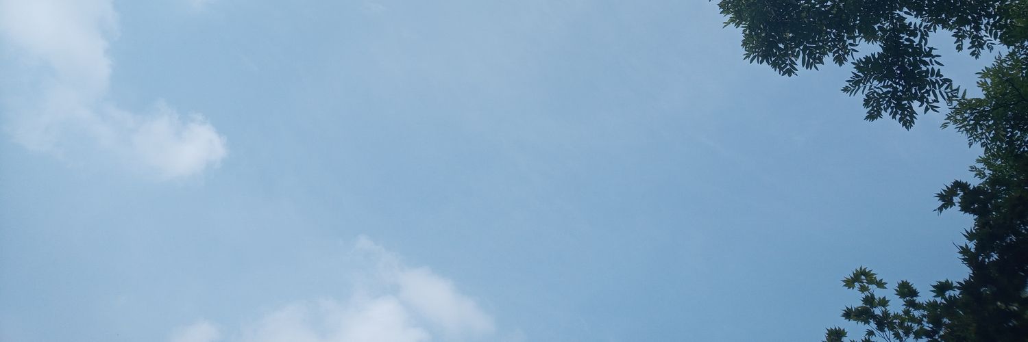 redgari1's profile banner image