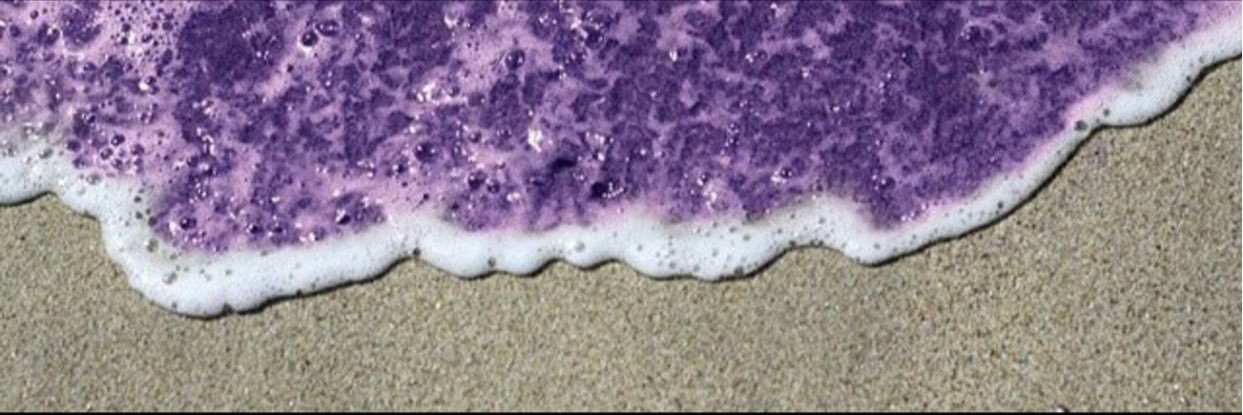 katty956_'s profile banner image