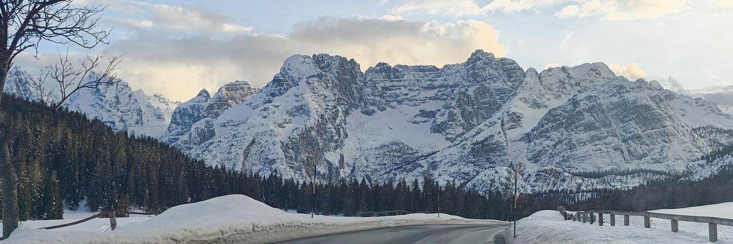 rocitaffe_'s profile banner image